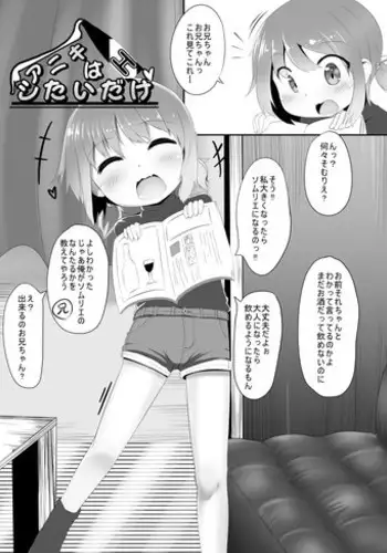 [Oharaibako (Ohuda)] Aniki wa H Shitai dake