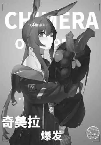 【灰鸟Shoebill】奇美拉爆发