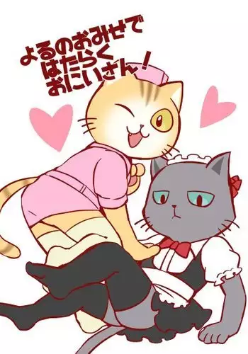 Working at an evening store