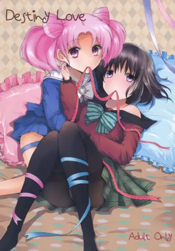 (C83) [momoirohoppe (Rei)] Destiny Love (Bishoujo Senshi Sailor Moon)