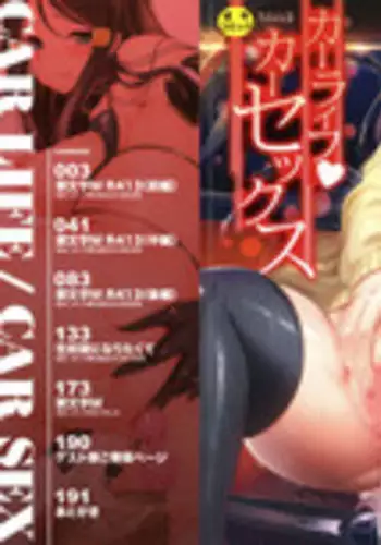 [Yabitsu Hiro] Car Life . Car Sex