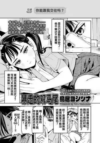 Bousou Twintail | 暴走的双马尾