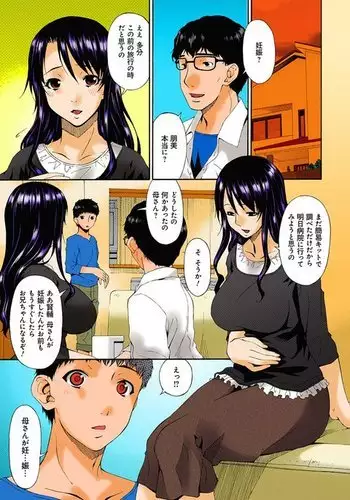 Hametorare full color