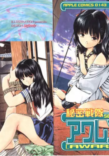 [Paint Robo] Himitsu Sentai Awaranger