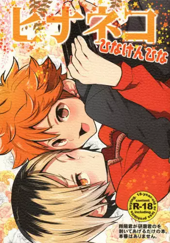 (IDLING ATTACKER7) [Chigen TORINO (S.kosugi)] Hina Neko (Haikyuu!!)