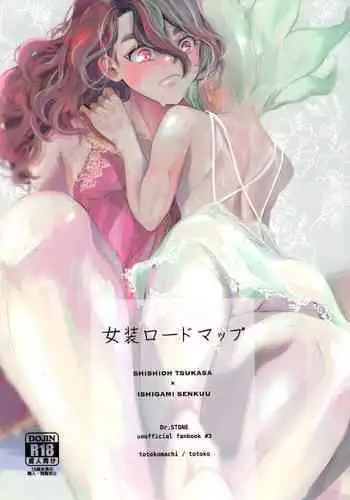 Crossdressing Roadmap