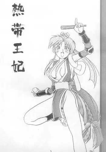 The King Of Fighters 95