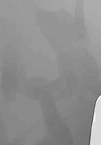 Irie de Deatta Shoujo