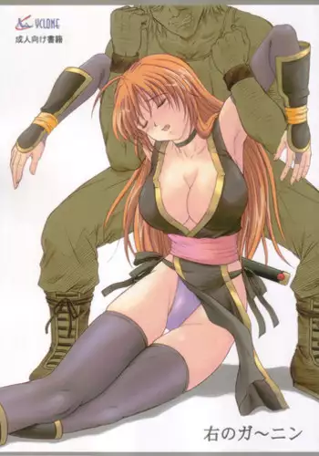 (C72) [Cyclone (Izumi Kazuya)] Migi no Ga~nin (Dead or Alive)