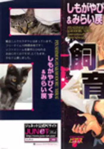 [Shimogaya Pix&Mirai Modoru (Unite Souji) ] Shiiku Inu